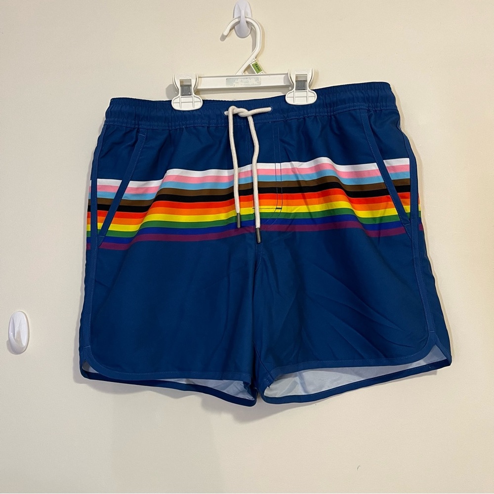 American Eagle Men's Blue Rainbow Stripe Swim Shorts